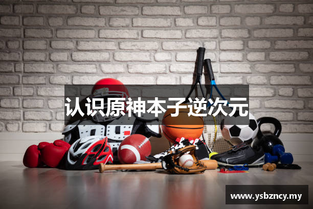 认识原神本子逆次元